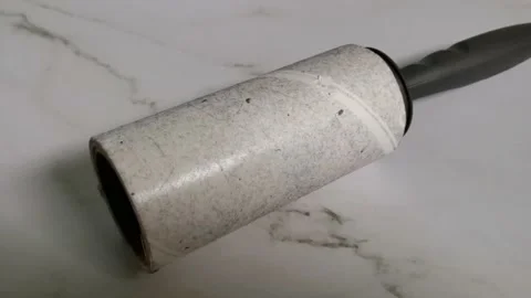 Used Lint Roller Stock Footage 205827851