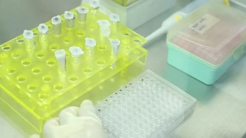 Used a micropipette and transfer sample into an eppendorf in the biosafety c Stock Footage 139403281