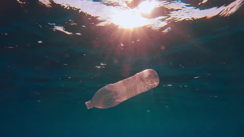 Used old plastic bottle floating under water surface in the bright sunbeams Stock Footage 317269886