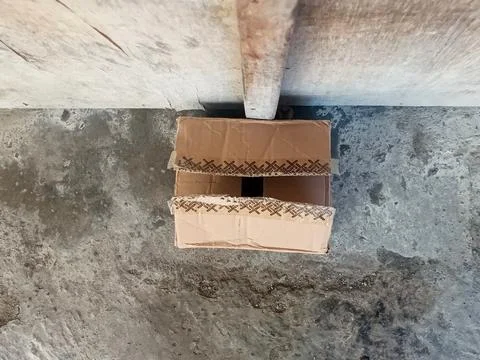 Used Open Cardboard Box with Patterned Tape on Concrete Stock Photos
