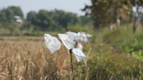 Used plastic bag tied to high voltage security steel wire in Video stock 121517820