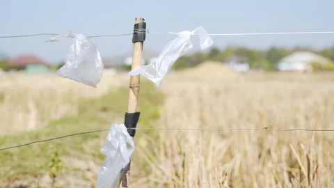 Used plastic bag tied to high voltage security steel wire Видео 128789039