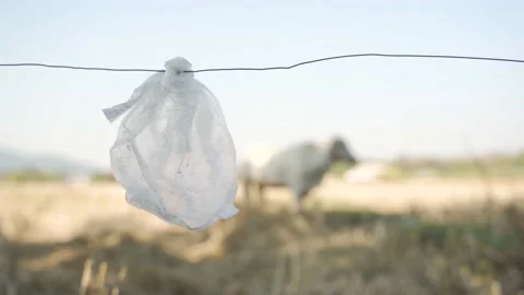 Used plastic bag tied to high voltage security steel wire Video stock 134931865
