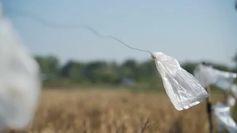 Used plastic bag tied to high voltage security steel wire Vídeos de archivo 150299605