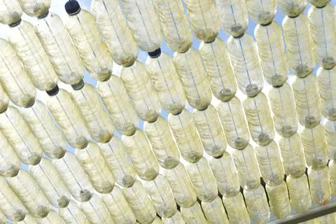 Used plastic bottle background 写真素材