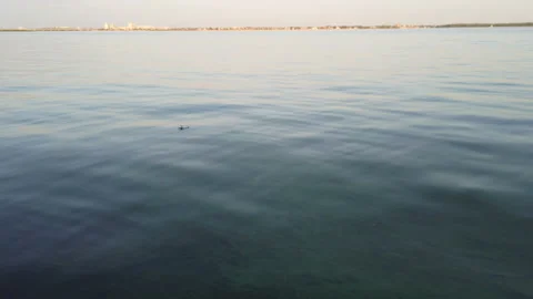 Used plastic bottle floating on water surface. Recycling problem Video stock 157265546