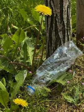 Used plastic bottle in the forest between tree and flower Stock Photos