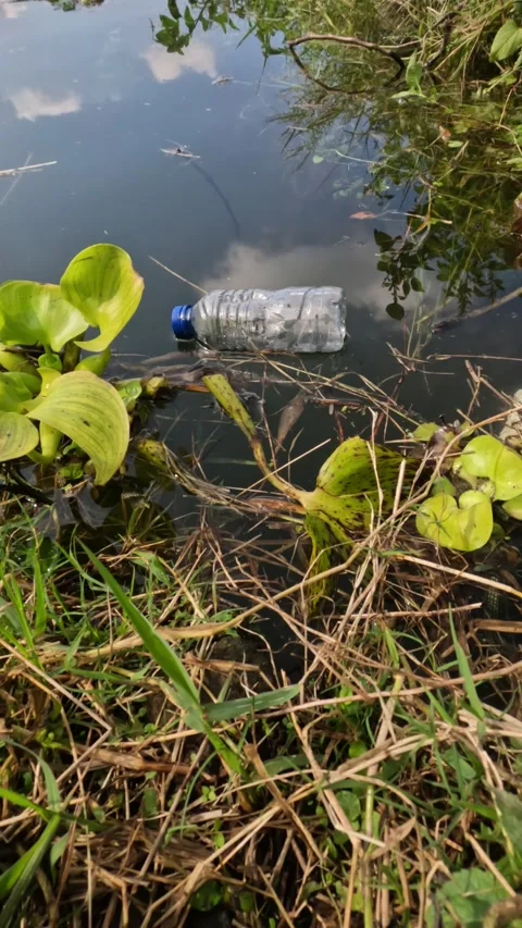 Used plastic bottles of drinks floating on the edge of the lake Stock Footage 319906156