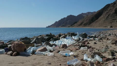Used plastic bottles lying on seashore near stones Stock-Footage 179508408