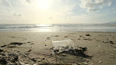 Used Plastic cup discarded on sea coast ecosystem,nature pollution contamination Stock Footage 175502098