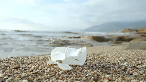 Used Plastic cup waste discarded on sea ecosystem,environmental pollution damage Stock Footage 221199414