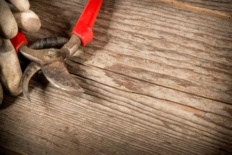 Used pruning shears Stock Photos