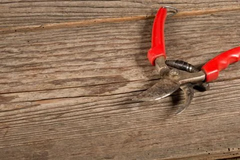 Used  shears Foto stock