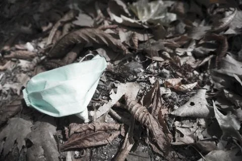 Used surgical mask lying on dry leaves in the field Stock Photos