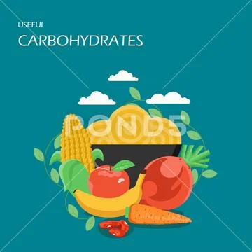 Useful carbohydrates vector flat style design illustration: Royalty ...