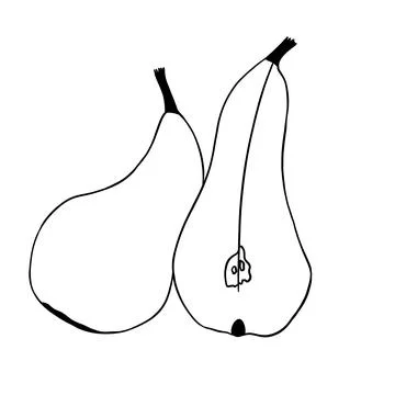 Useful fruit pear cut black lines art Illustrazione stock