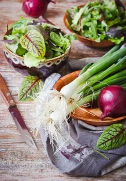 Useful vegetables Stock Photos