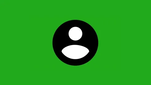 User Account Profile Icon Motion Graphics Green Screen Animation 4K Stock Footage 338043284