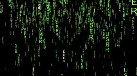 User data code on the web Illustrazione stock