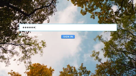 User enters password in browser sign in form on computer screen Stock Footage 334022899
