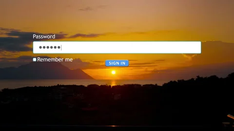 User enters password in form box for website sign in at sunset Stock Footage 334022753