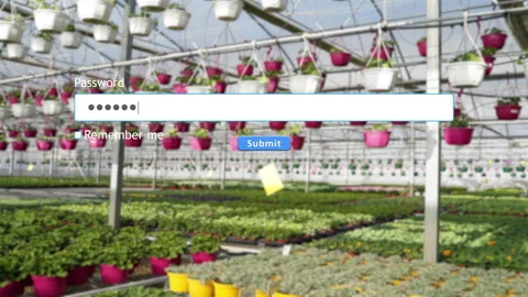 User enters password in website form with greenhouse in background 스톡 동영상 334022524