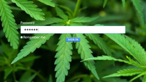User enters password on website form with hemp plant in background Stock Footage 334022718