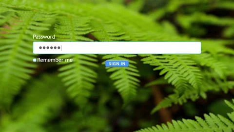 User enters password for website submission on computer form Video stock 334022619
