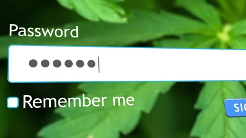 User enters password on website while hemp plant image shows in background Stock Footage 334022716