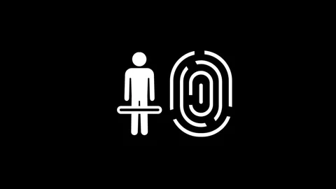User Identification Stock Footage 334289201