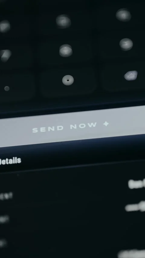 User interface button labeled SEND NOW Stock Footage 331581619