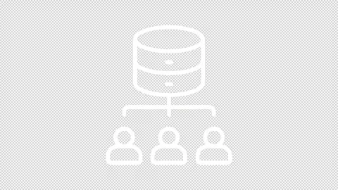 User networks management white line animation Stock Footage 340285533