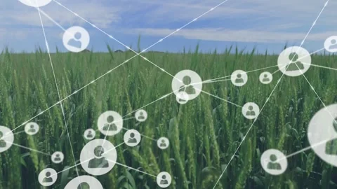 User profile icons floating over wheat field in flat design, showing glowing Stock Footage 328932321