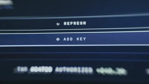 User taps the Add Key option Stock Footage 335493344