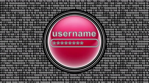 Username icon. Binary code ( array of bits ) in the screen. Looping footage. Stock Footage 123774497