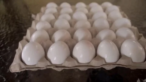 Uses both hands to set down a large and flimsy beige carton of eggs Video stock 339100966
