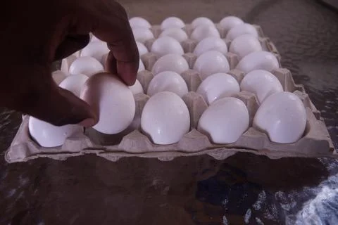Uses both hands to set down a large and flimsy beige carton of eggs Stock Photos
