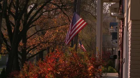 USFlagsInNeighborhood Video stock 11138176