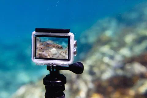 Using action-camera in waterproof box to make photos and video underwater Stock Photos