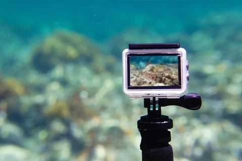 Using action-camera in waterproof box to make photos and video underwater Stock Photos