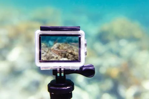 Using action-camera in waterproof box to make photos and video underwater Stock Photos