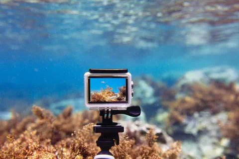 Using action-camera in waterproof box to make photos and video underwater Stock Photos