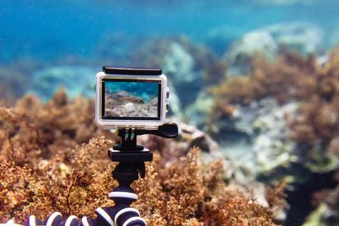 Using action-camera in waterproof box to make photos and video underwater Stock Photos