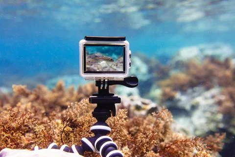 Using action-camera in waterproof box to make photos and video underwater Stock Photos