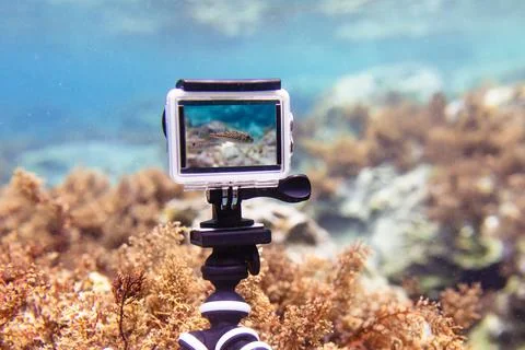 Using action-camera in waterproof box to make photos and video underwater Foto stock