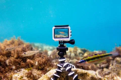 Using action-camera in waterproof box to make photos and video underwater Stock Photos