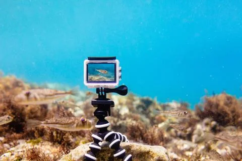 Using action-camera in waterproof box to make photos and video underwater Stock Photos
