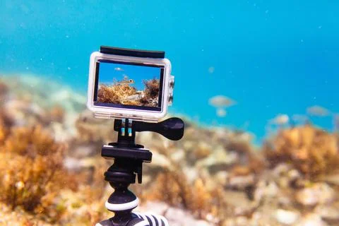 Using action-camera in waterproof box to make photos and video underwater Stock Photos