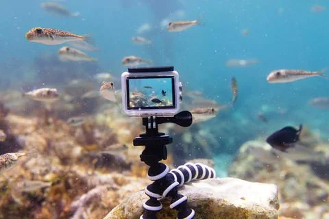 Using action-camera in waterproof box to make photos and video underwater Stock Photos