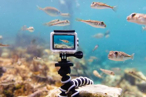 Using action-camera in waterproof box to make photos and video underwater Stock Photos
